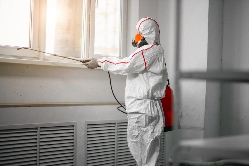 Professional mold remediation services in Telferner, TX